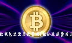 把虚拟币放钱包里需要收费吗？揭秘隐藏费用与