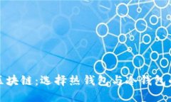 深入解读区块链：选择热钱包与冷钱包的最佳攻
