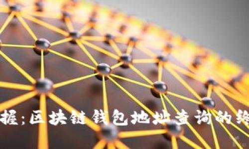 轻松掌握：区块链钱包地址查询的终极指南