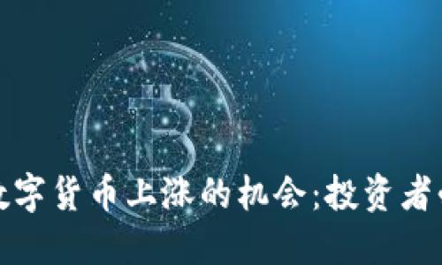 如何抓住数字货币上涨的机会：投资者必知的策略
