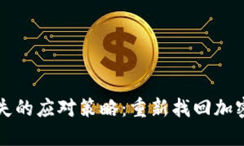 钱包私钥丢失的应对策略：重新找回加密资产的秘诀