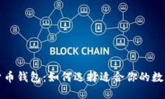 全面探索数字货币钱包：如何选择适合你的数字