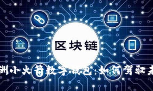 全面解析欧洲小火箭数字钱包：如何驾驭未来金融生态