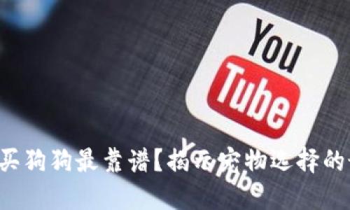 从哪里购买狗狗最靠谱？揭示宠物选择的最佳途径！