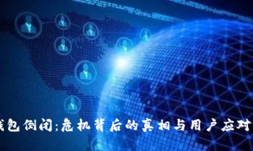 IM钱包倒闭：危机背后的真相与用户应对策略