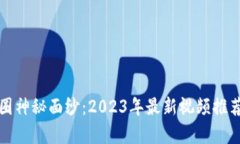 揭开币圈神秘面纱：2023年最新视频推荐与分析