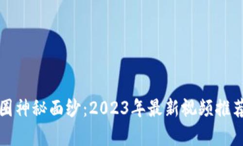 揭开币圈神秘面纱：2023年最新视频推荐与分析
