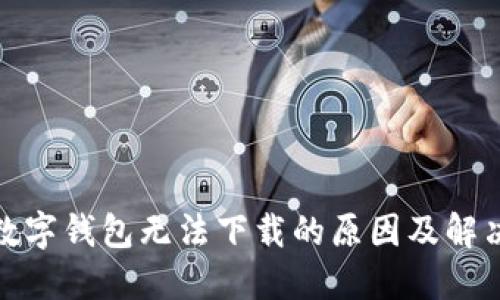 探讨数字钱包无法下载的原因及解决方案