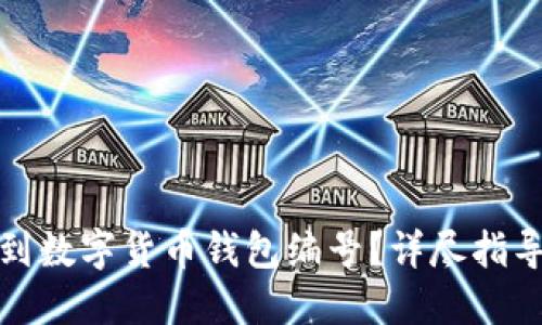 如何快速找到数字货币钱包编号？详尽指导与实用技巧