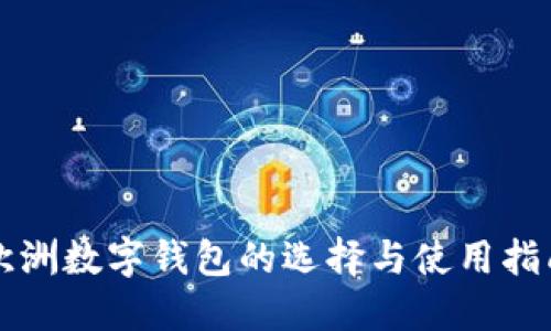 欧洲数字钱包的选择与使用指南