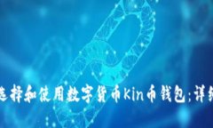 如何选择和使用数字货币Kin币钱包：详细指南