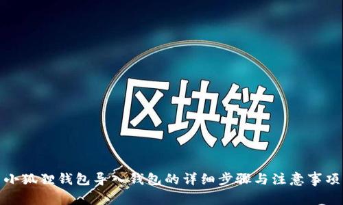小狐狸钱包导入钱包的详细步骤与注意事项