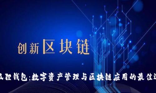 小狐狸钱包：数字资产管理与区块链应用的最佳选择