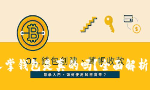 区块链仙人掌钱包是真的吗？全面解析与用户指南