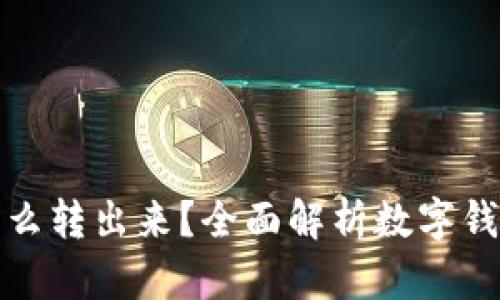 数字钱包钱怎么转出来？全面解析数字钱包的取现流程