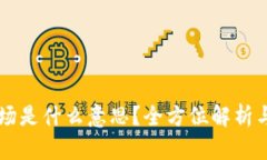 虚拟币波场是什么意思？全方位解析与投资指南