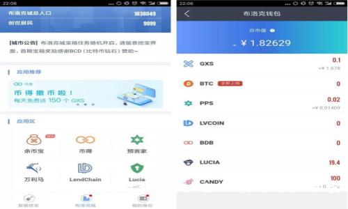 区块链钱包如何对接公链：全面指南与最佳实践