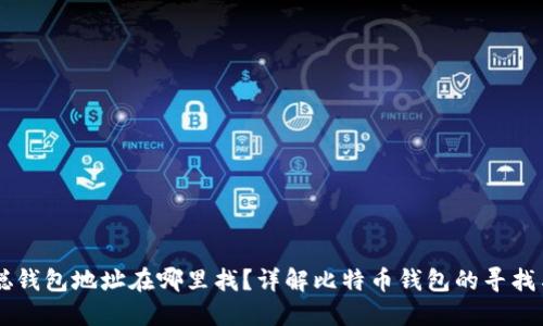 中本聪钱包地址在哪里找？详解比特币钱包的寻找与使用