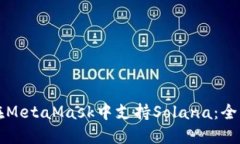 如何在MetaMask中支持Solana：全面指南