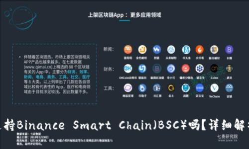 MetaMask支持Binance Smart Chain（BSC）吗？详细解析与使用指南