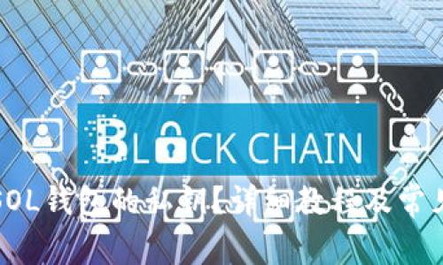 如何导出SOL钱包的私钥？详细教程及常见问题解答