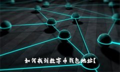 如何找到数字币钱包地址？