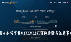 国内如何下载MetaMask：详细步骤与注意事项