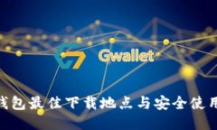 BSC钱包最佳下载地点与安全使用指南