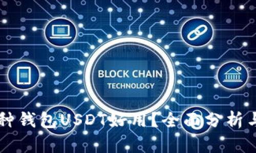 区块链哪种钱包USDT好用？全面分析与推荐指南