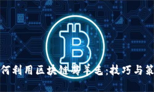 如何利用区块链薅羊毛：技巧与策略