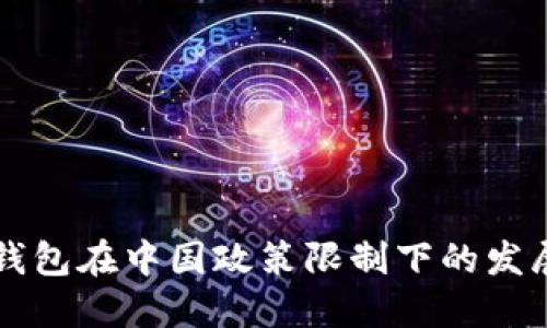 区块链钱包在中国政策限制下的发展与挑战
