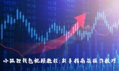 小狐狸钱包视频教程：新手指南及操作技巧