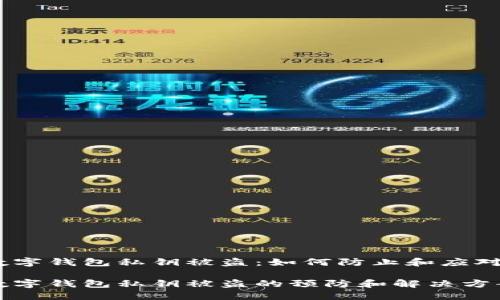 数字钱包私钥被盗：如何防止和应对

数字钱包私钥被盗的预防和解决方案