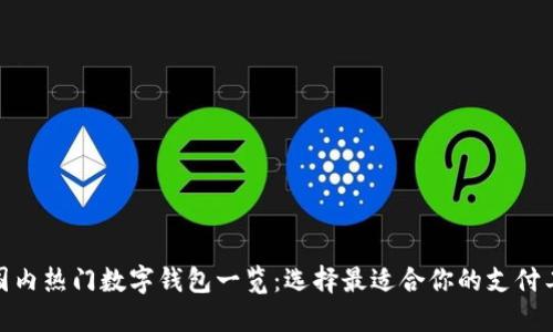 : 国内热门数字钱包一览：选择最适合你的支付工具
