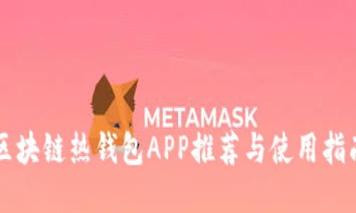 区块链热钱包APP推荐与使用指南