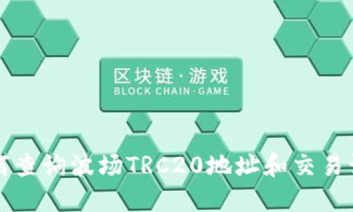 如何查询波场TRC20地址和交易记录