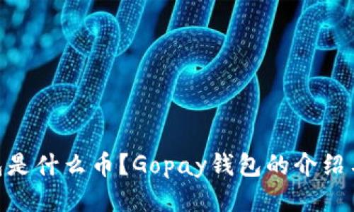 Gopay钱包是什么币？Gopay钱包的介绍与使用指南
