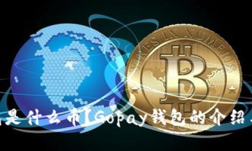 Gopay钱包是什么币？Gopay钱包的介绍与使用指南