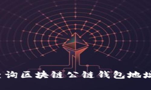 如何查询区块链公链钱包地址信息？