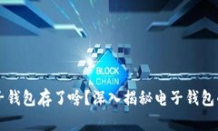 区块链电子钱包存了啥？深入揭秘电子钱包的内